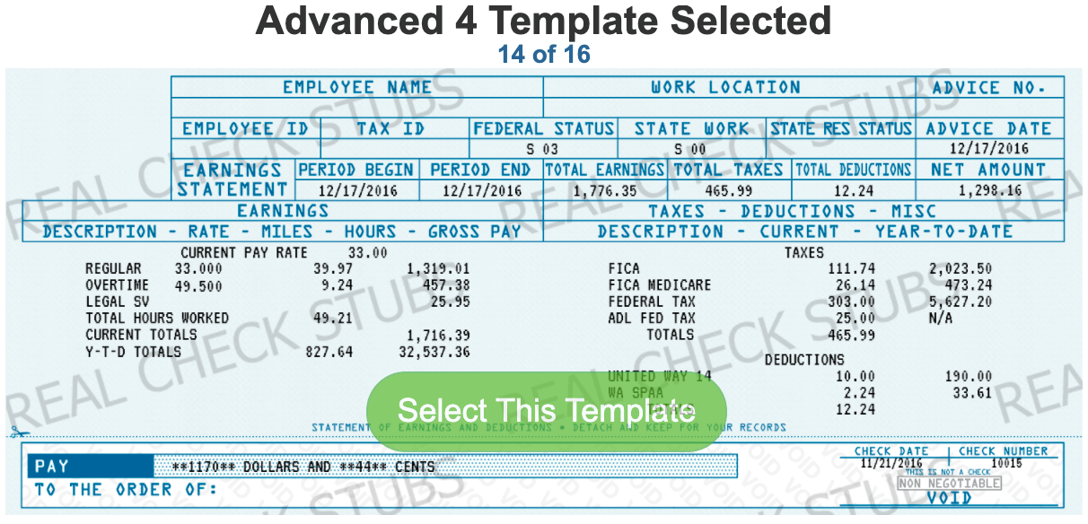 Pay Stub with Voided Check Templates